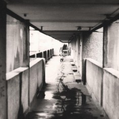 Bike tracks, Broomhall Flats. May 1978 | Photo: Tony Allwright