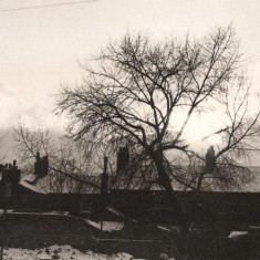 Sunshine, tree and snowy roofs in Broomhall, January 1978 | Photo: Tony Allwright
