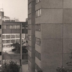 Broomhall Flats with Viners in the background, August 1977 | Photo: Tony Allwright