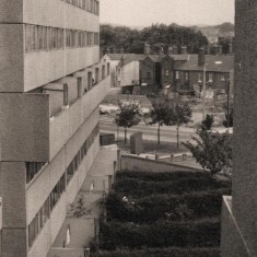 Gardens at Broomhall Flats and Upper Hanover St, August 1977 | Photo: Tony Allwright