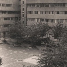 Broomhall Flats, August 1977 | Photo: Tony Allwright