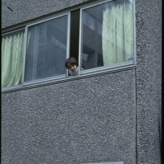 Peeking out the window. Egerton Gardens, Broomhall Flats. July 1978 | Photo: Tony Allwright