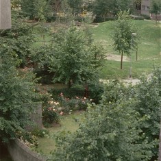 Gardens at Broomhall Flats, July 1978 | Photo: Tony Allwright