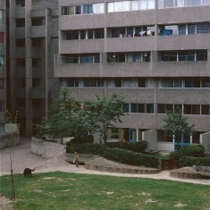 Broomhall Flats. July 1978 | Photo: Tony Allwright