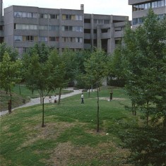 Green space, Broomhall Flats. July 1978 | Photo: Tony Allwright