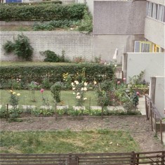 Gardens, Broomhall Flats. July 1978 | Photo: Tony Allwright