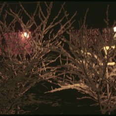 Night at Broomhall Flats in the snow. March 1979 | Photo: Tony Allwright