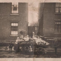 Cooper's Fruit & Vegetable shop delivery cart, c.1900 | Photo: Edward Bell
