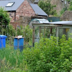 Allotments on Holberry Gardens. 2014 | Photo: Our Broomhall