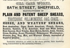 A. E. Shearer & Co.