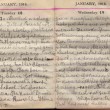 Doris Hogan Diary: 18th and 19th January 1916