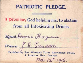Patriotic Pledge, 1916 | Photo: Suzanne Cam