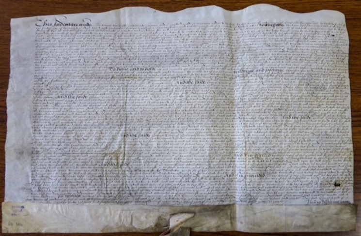 Grant of Broomhall land from Queen Elizabeth I. 1581 | Photo: SALS ACM/SD/146 & Sheffield Archives