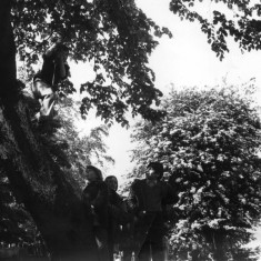 Children playing on a tree swing. 1980s | Photo: Our Broomhall