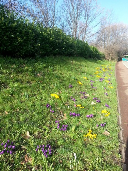 Broomhall in Springtime