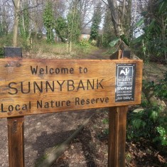 Sunnybank Reserve 2013 | Photo: Our Broomhall
