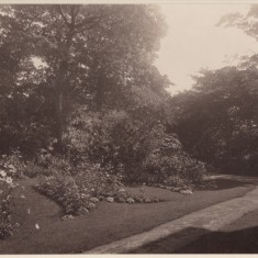 Flower beds in the garden at Park House. c.1930 | Photo: William Emery