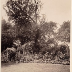 Garden at Park House. c. 1930 | Photo: William Emery