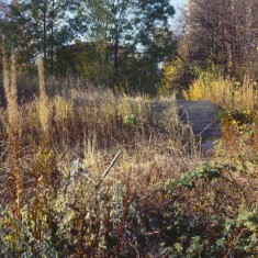 Site of Lynwood Gardens, c.1988 | Photo: Broomhall Centre