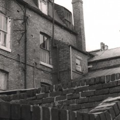Backs of Havelock Square houses, May 1979 | Photo: Tony Allwright