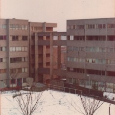 Broomhall Flats, January 1978 | Photo: Tony Allwright