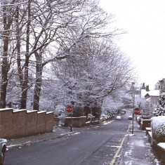 Wilkinson St with snow, January 1979 | Photo: Tony Allwright