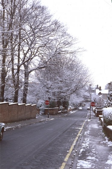 Wilkinson St with snow, January 1979 | Photo: Tony Allwright