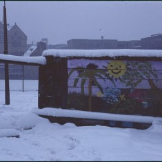 Snow, sun and palm tree. Broomhall Flats, February 1979 | Photo: Tony Allwright