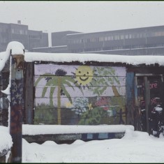 Snow, sun and palm tree. Broomhall Flats, February 1979 | Photo: Tony Allwright