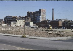 Tony Allwright Photo Gallery: Devonshire Green