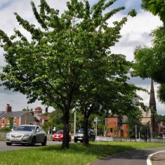 Hanover Way: Jesus Centre and St Andrew's Church in background. 2014