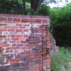 Jubilee Allotments Wall. 2014 | Photo: Our Broomhall