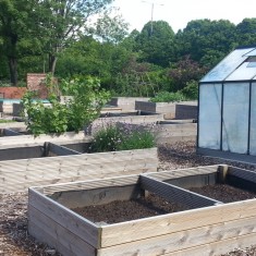 Jubilee Allotment. 2013 | Photo: Our Broomhall