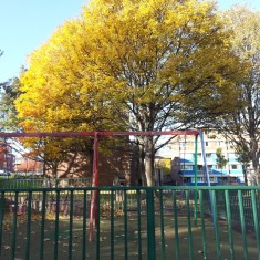 Broomhall in Autumn