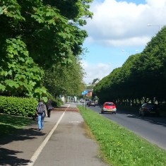 Broomhall in Summertime