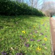Broomhall in Springtime