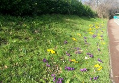 Broomhall in Springtime