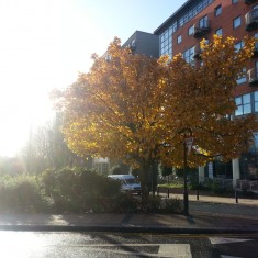 Broomhall in Autumn