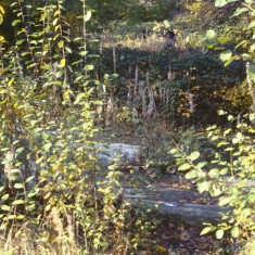 Site of Lynwood Gardens, c.1988 | Photo: Broomhall Centre