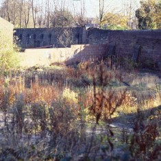 Wasteground, possibly near Lynwood Gardens. c.1988 | Photo: Broomhall Centre