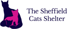 The History of the Sheffield Cats Shelter